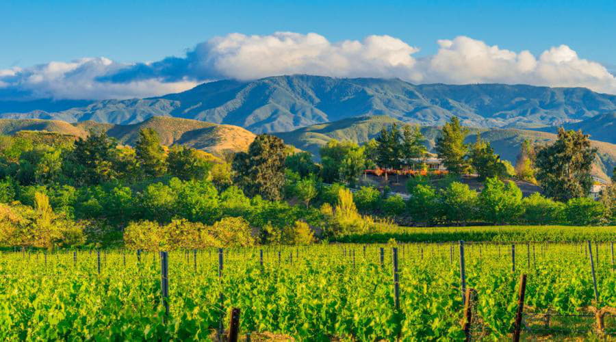 I nostri servizi di noleggio auto offrono una vasta selezione di veicoli a Temecula.